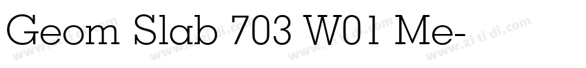 Geom Slab 703 W01 Me字体转换